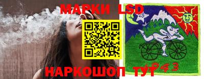 мдпв Бийск